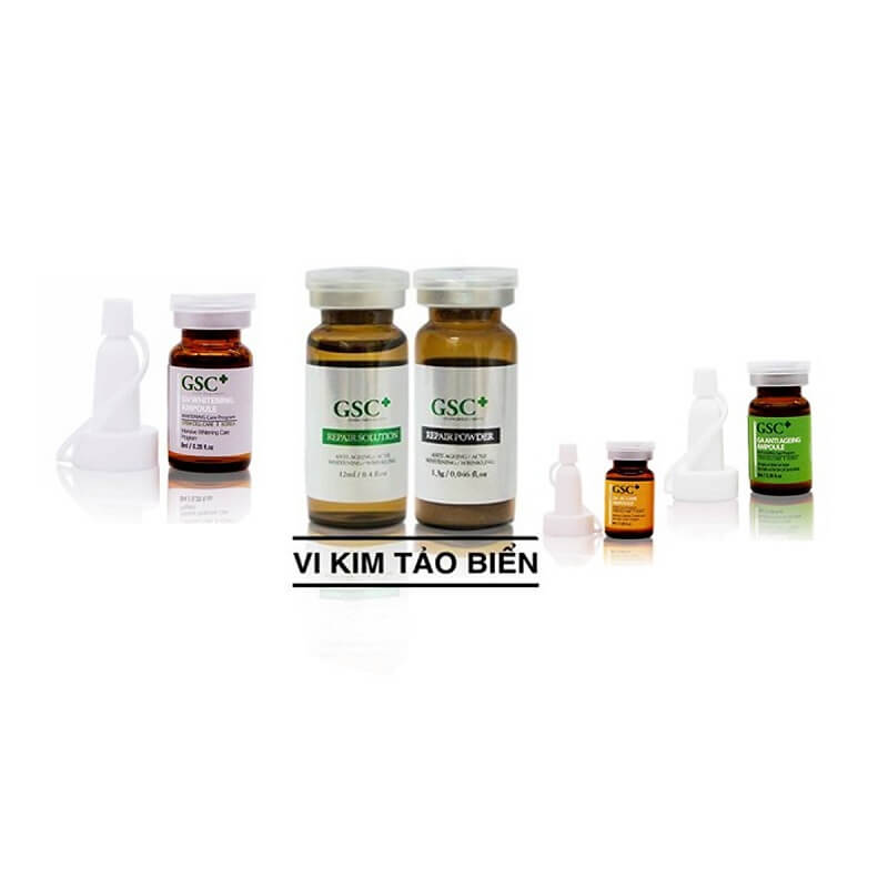 vi-kim-tao-bien-gsc-6