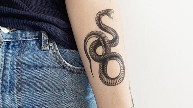 Hình Xăm Rắn Hổ Mang Đẹp  1001 Tattoo Con Rắn Mini  Nội Thất Hằng Phát