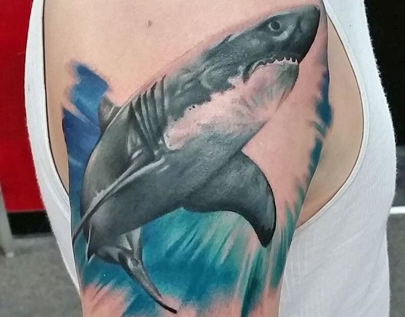 Zebra Tattoo Studio  1 Xăm Hình Nghệ Thuật Hà Nội  Hình xăm cá mập  hay  đc biết đến với cái tên hung thần đại dương có ý nghĩa tượng