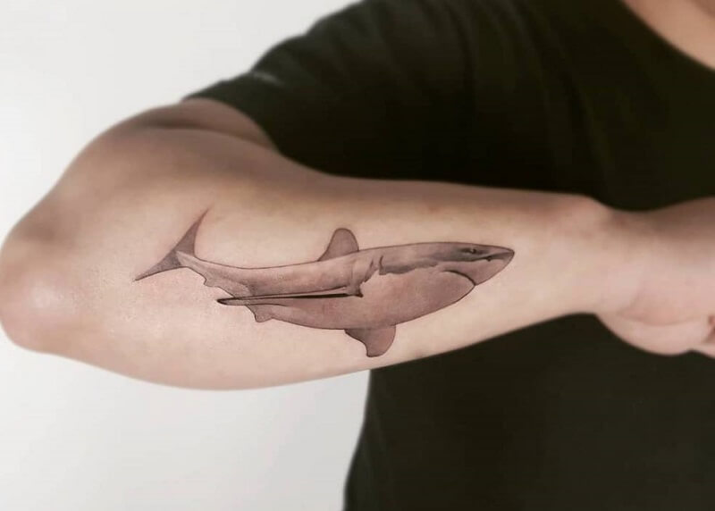 Tattoo cá mập ở cánh tay