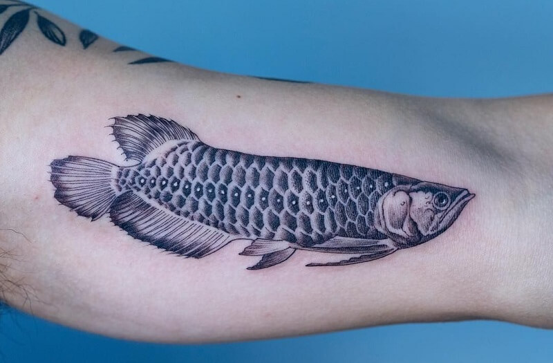 Xăm Hình Nghệ Thuật trên Instagram Tattoo cá rồng tranh rết  thegioitattoo thegioidoxamsupply Full tê 100  Hình xăm irezumi Hình  xăm toàn thân Xăm