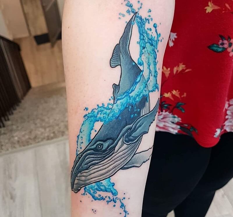 50 hình xăm cá voi cực chất cho nam giới  Whale Tattoo Designs  Thiết kế hình  xăm Hình xăm Hình xăm ngầu