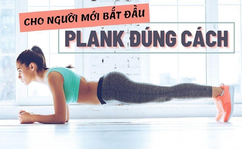 Người mới bắt đầu nên tập Plank như thế nào?