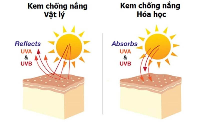 Sự khác nhau của kem chống nắng vật lý và hóa học 