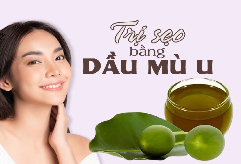 dầu mù u còn có thêm khả năng phục hồi vết thương, tái tạo da vô cùng hiệu quả