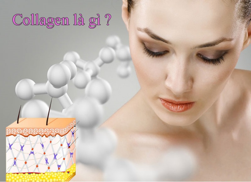 Collagen tươi là gì? Uống collagen tươi tốt không?