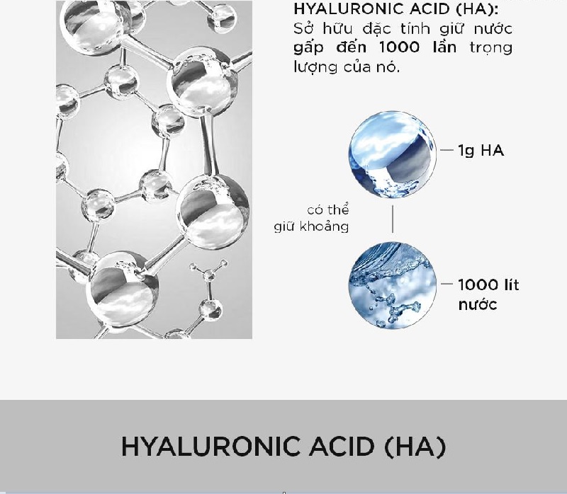 Hyaluronic acid là gì? Hyaluronic acid có tác dụng gì với da 1