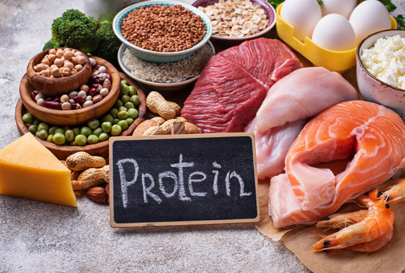 Thực đơn giàu protein 
