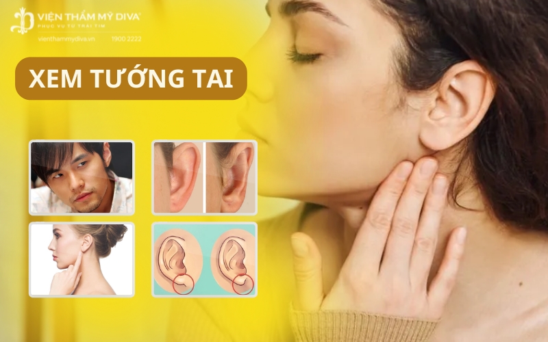 Xem tướng tai có hình minh họa ở Nam, Nữ