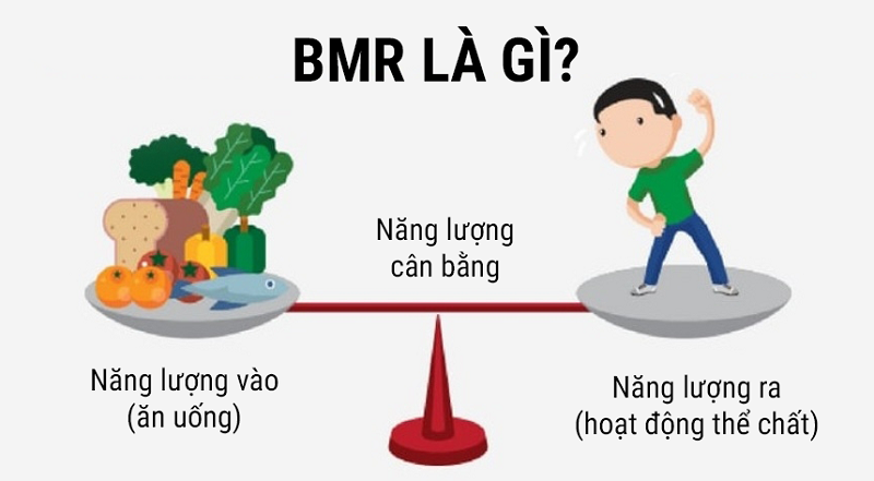 Chỉ số BMR là gì?