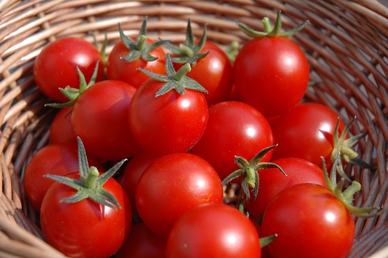 Cách triệt lông chân bằng cà chua an toàn hiệu quả tại nhà